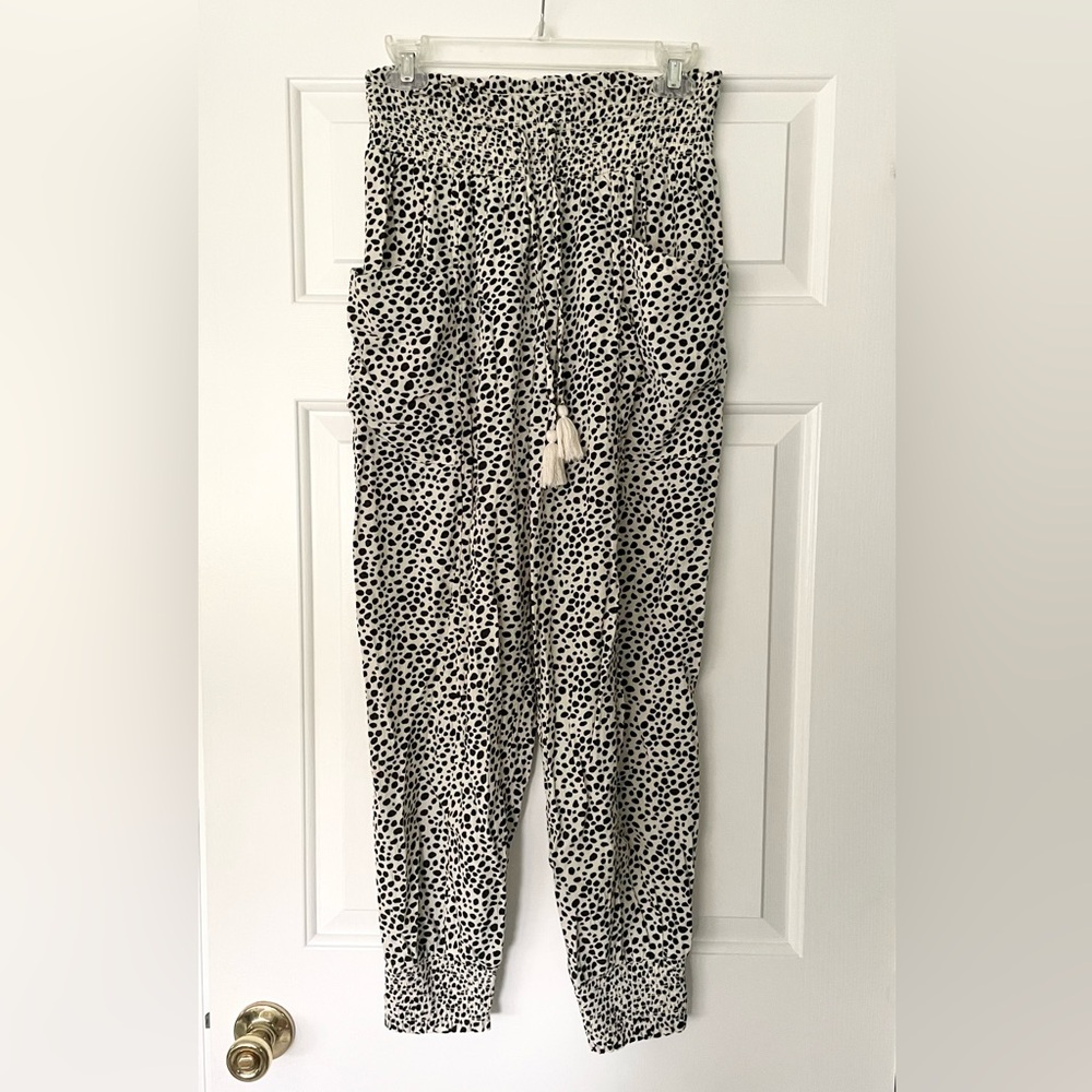 Aerie Jogger Pants 🐆